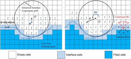 Figure 1. Velocity correction of the empty cells neighboring an immersed boundary.