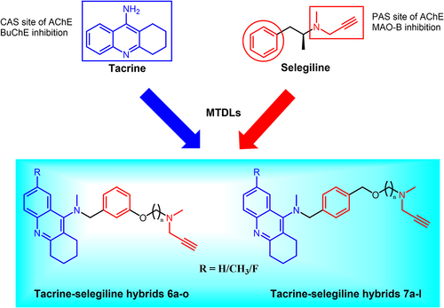 Figure 1 Design strategy toward tacrine-selegiline hybrids 6a-o and 7a-l.