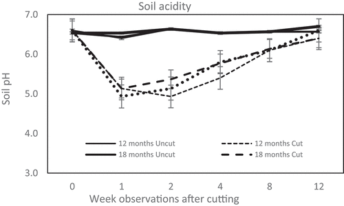 Figure 2. Dynamic of soil acidity in C. calothyrsus stump rhizosphere. All cut treatments show the soil pH immediately decreased a week after felling, except the group of 12 month age, the lowest pH happen at the 2nd week after felling. The rhizosphere pH then gradually increased until at the 12th week after cutting closer to the initial situation. There is no fluctuation in the soil acidity of the uncut treatments during the observations. (Solid line: uncut trees; dotted line: cut trees).