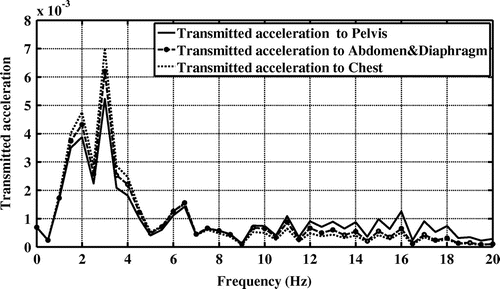 Figure 16. Transmitted accelerations to the human body for three body segments including pelvis, abdomen/diaphragm and chest of road-1 excitation in the second driving cycle.