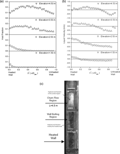 Figure 3. DOBO experimental results: (a) void fraction, (b) liquid velocity, and (c) visual observation.