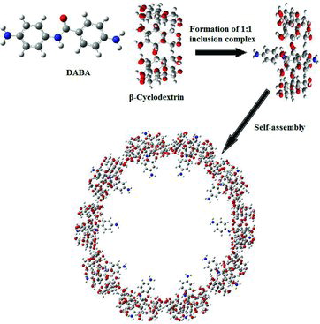 Figure 8. Proposed mechanisms of nanovesicle formation between DABA and β-CD.