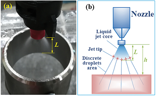 Figure 7. Graphic demonstration of the spray nozzle, electrode, nozzle height h, and continuous jet length L: (a) a photograph, and (b) a schematic.