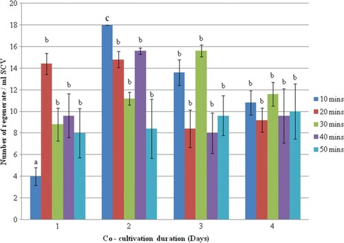 Figure 3. Effects of infection times and co-cultivation periods on Agrobacterium-mediated transformation of Boesenbergia rotunda suspension cell. Different letters indicate significant differences at 95% confidence level based on one-way ANOVA followed by Duncan's multiple range test. Error bars represent standard error, where n = 5.