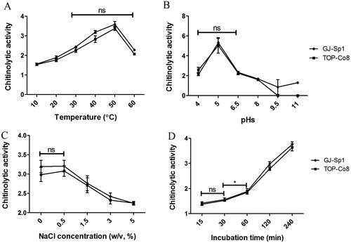 Figure 4. Effect of temperature, pH, NaCl concentration, and incubation time on chitinolytic activity of the extracellular crude enzyme. Chitinolytic activity was evaluated using the crude enzyme of GJ-Sp1 and TOP-Co8 using the 3,5-dinitrosalicylic acid (DNS) assay. The crude enzyme was incubated with 2% colloidal chitin at a specific (A) temperature, (B) pH, (C) NaCl concentration, and (D) incubation time. Chitinolytic activity is presented as the mean ± standard deviation of three biological replicates. “ns” and “*” indicate statistically “no difference between samples (p > 0.05)” and “difference between samples (p < 0.05),” respectively.