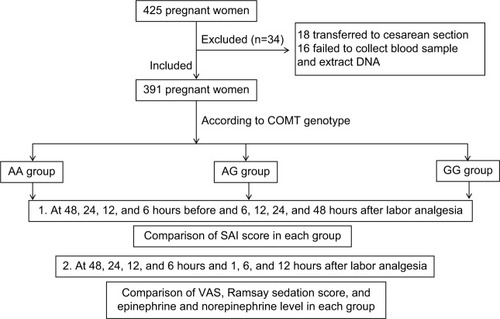 Figure 1 A flowchart of this study.