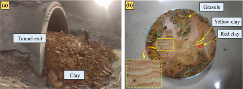 Figure 5. Disaster site and clay sample: (a) disaster site; (b) clay sample.