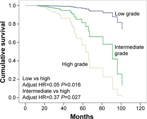 Figure 4 Survival comparisons according to histologic grade of the second primary adenocarcinomas.