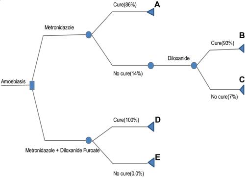 Figure 1 Analytical decision model.