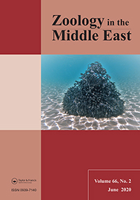 Cover image for Zoology in the Middle East, Volume 66, Issue 2, 2020