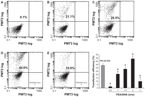 Figure 9 Flow cytometry graphs typical of the transfection efficiency in HEK293 cells were incubated with poly(ester amine)/DNA complexes at different weight ratios for 24 hours, polyethylenimine (25 kDa) and an optimized carrier to gene weight ratio of 1.5 as the control.Note: P < 0.05.Abbreviations: PEI, polyethylenimine; PEA, poly(ester amine); PMT, photo multiplier tube.