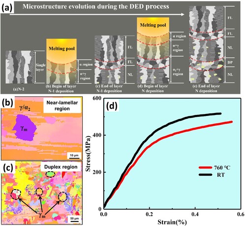 Figure 9. (a) A schematic illustrating the DED process of the Ti48Al2Nb2Cr titanium aluminide intermetallic alloy, highlighting the evolution of the heterogeneous microstructure. (b) EBSD map showing the nearly lamellar region with α2/γ lamellae and a massive γ phase (γm). (c) EBSD map showing the duplex region with equiaxed grains containing lamellae and randomly distributed γm grains. (d) Tensile stress–strain curves of the specimens tested at room temperature and 760°C. Reproduced with the permission from Ref. [Citation156].