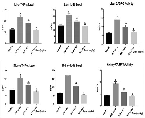 Figure 3. Effect of thymol on hepatic and renal levels of TNF-α, IL-1β and caspase-3 activity in indomethacin-treated rats. n = 8. Each bar represents mean ± SEM of 8 rats in triplicates. ap < 0.05 versus control; bp < 0.05 versus IND alone; cp < 0.05 versus THY alone. IND: 5 mg/kg indomethacin; THY: 250 mg/kg thymol.
