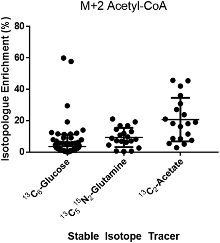 Figure 2. Isotopologue enrichment in acetyl-CoA M + 2 from 3 major carbon tracers in cumulus cells (CCs) indicates that acetate can contribute significantly to acetyl-CoA. One hour incubations with CC clumps from individually retrieved oocytes in stable isotope tracer media containing the indicated labeled substrate. CCs have a higher capacity for generating acetyl-CoA from acetate than glucose, despite the literature on the glycolytic nature of glucose.