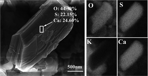 Figure 9. SEM-EDS mapping of CaSO4 particles.