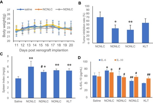 Figure 4 Antitumor efficacy study in vivo.