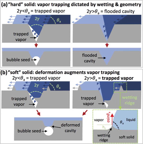 Figure 2. Schematic of vapor trapping during liquid movement over a conical cavity in (a) a hard and (b) a soft material.