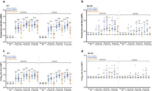 Figure 2. LYB001 induced significantly 50% live-virus and pseoduvirus-neutralizing antibody responses, compared with control group of vaccine ZF2001 by dose and age subgroups. a – d, Serum samples were collected at baseline (before prime vaccination), day 42 (at day 14 after the second dose vaccination), and day 70 and 84 (at day 14 and 28 after whole vaccination) in the LYB001 groups of 30 μg and 60 μg, and control group by the younger cohort and elderly cohort. a-b, A panel of real-virus immune responses of 50% SARS-CoV-2-neutralizing antibody GMTs measured by ELISA assay are demonstrated. c-d, A panel of pseoduvirus immune responses of 50% SARS-CoV-2-neutralizing antibody GMTs measured by ELISA assay are shown. Each point represents a serum sample, and each bar represents the mean of GMT with 95% CI by using Clopper-Pearson method. The dashed line indicates the lower limit of quantification (LLOQ). The LLOQ was 1:10 for the virus-neutralizing antibody test and 1:100 for ELISA. Neutralizing antibody responses of participants in each dose group of LYB001 were compared to the control group using analysis of covariance with log transformation. GMT as geometric mean titers; nAb as neutralizing antibody; TCID50 as 50% tissue culture infective Dose; WT as wild type strain of SARS-CoV-2; BA.4/5 as BA.4 or BA.5 of omicron strain of SARS-CoV-2; YOA as year of age; D0 as the baseline; 14d as 14 days; 28d as 28 days.