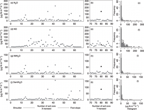 Figure 3  Spatial patterns of N2O and NO emission rates in the X-transect and the Y transect. N2O emission rate in the (a) X-transect and (b) Y-transect and (c) the frequency distribution of N2O emission including both transects; (d–f) NO emission rate, (g–i) NitN2O, (j–l) DenitN2O. In (b,e,h,k) the black solid triangles indicate soil core 35 of the X-transect. In (g) the open circles indicate NitN2O n.d. (not detected). In the histograms (c,f,i,l) the the grey bars indicate the X-transect and the white bars indicate the Y-transect.