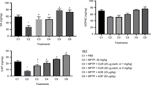 Figure 2 The effect of postnatal PBS (C1), MPTP (C2), MPTP + CUR (C3 and C4) and MPTP + AOF (C5 and C6) treatments on the levels of DA, DOPAC and 3-MT on in C57BL/6J mice.