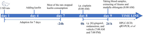 Figure 2 The schematic presentation of the experimental design.