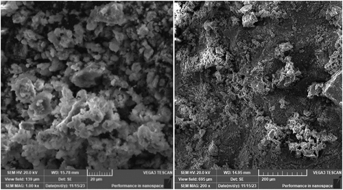 Figure 5. SEM micrographs of zeolite.