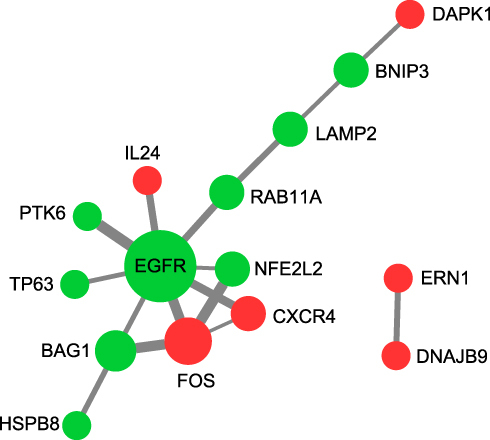 Figure 5 PPI network differentially expressed ARGs. The red color symbolizes upregulated genes, while the green color denotes downregulated genes.