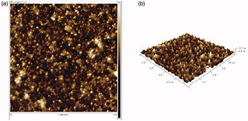 Figure 10. AFM 3D and 2D images of H3PW12O40@Fe3O4–ZnO nanocomposite.