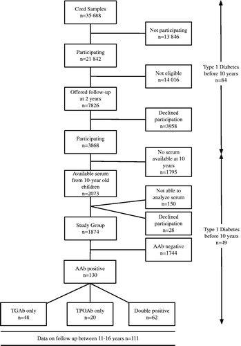 Figure 1. Flowchart of children screened at birth and followed in the DiPiS study to 10 years of age, and the distribution of thyroid autoantibodies in the population.