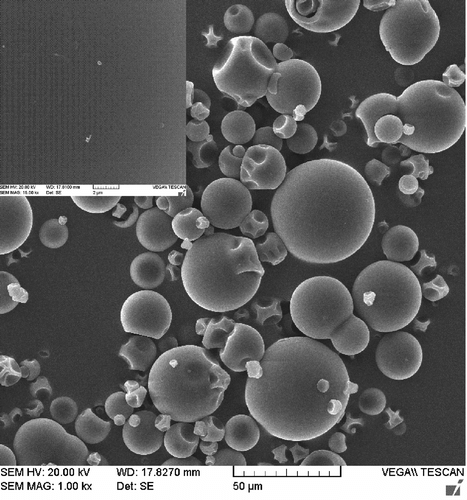 Figure 3 SEM image of pure dextran microparticles.