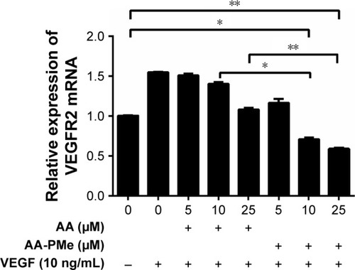 Figure 8 AA-PMe inhibits VEGF-induced upregulation of VEGFR2 mRNA in HUVECs. VEGFR2 mRNA in HUVECs treated with or without VEGF (10 ng/mL) and DMSO vehicle or the indicated concentrations of AA-PMe or AA for 24 hours. Expression values were normalized to GAPDH. Data are presented as the mean ± SEM from three independent experiments. *P<0.05, **P<0.01.