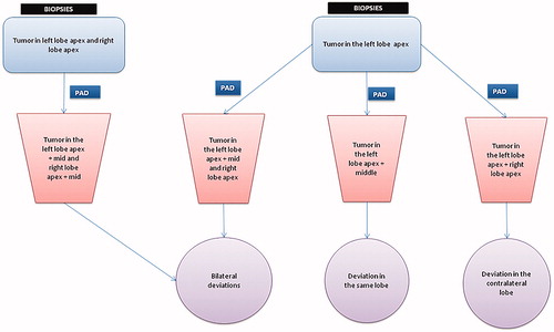 Figure 1. Flow chart: definition of deviations by localization.