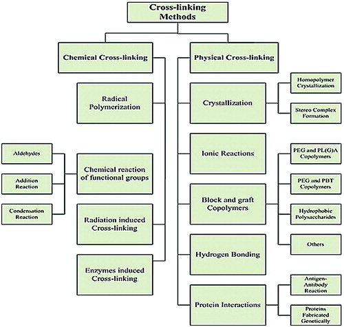 Figure 1. The graphical representation of different crosslinking methods.