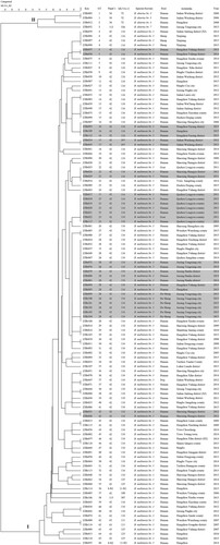 Figure 2. Dendrogram based on the MLVA-16 genotyping assay (UPGMA method), showing the relationships between the 118 Brucella isolates. The columns show the identification numbers, MLVA-16 genotypes (GT), panel 1 genotypes, MLVA-11 (panels 1 and 2A) genotypes, species-biovar, host, and the year of isolation of the strains.