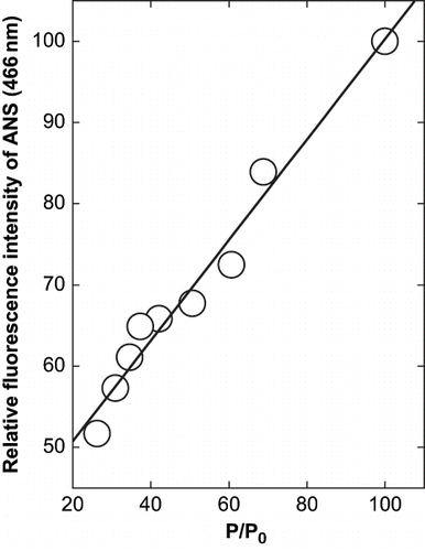 Figure 6 Derivative plot of the relation between the precipitation of α-globulin and the change in fluorescence intensity of ANS and α-globulin at 466 nm in presence of glycerol at pH 10.0 (0.02 M glycine- NaOH buffer). The values are plotted from the data of Figures 2 and Figures 5.