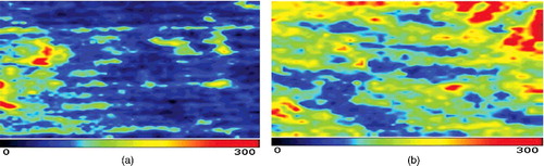 Figure 3. Comparison between pre- (a) and post-treatment blood perfusion (b) images in the TCM formula group.