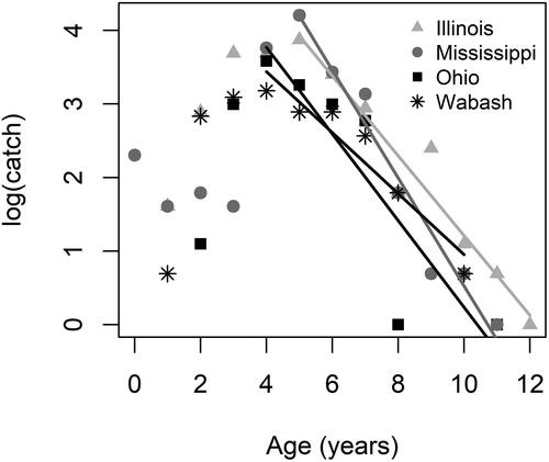 Figure 4. Catch curves for channel catfish sampled with DC electrofishing during 2017–2018 in the Illinois River and sections of the Mississippi, Ohio, and Wabash rivers. Ages used for regression are shown in Table 4 (Illinois r2 = 0.95; Mississippi r2 = 0.96; Ohio r2 = 0.79; Wabash r2 = 0.92).