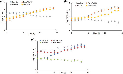 Figure 4. Effect of different relative inoculum proportions on the growth of L. monocytogenes and W. viridescens C2 in monoculture and coculture during 4°C storage (n = 3). (a) L. monocytogenes at “high” concentration and W. viridescens C2 at “low” concentration group; (b) “Equal” concentrations of L. monocytogenes and W. viridescens C2; (c) L. monocytogenes at “low” concentration and W. viridescens C2 at “high” concentration group. Pure-Lm: the number of L. monocytogenes in the monoculture; Pure-WeiC2: the number of W. viridescens C2 in the monoculture; Mix-Lm: the number of L. monocytogenes when cocultured with W. viridescens C2; Mix-WeiC2: the number of W. viridescens C2 when cocultured with L. monocytogenes.Figura 4. Efecto de distintas proporciones relativas del inóculo en el crecimiento de L. monocytogenes y W. viridescens C2 en monocultivo y cocultivo, almacenados a 4°C (n = 3). (a) L. monocytogenes en “alta” concentración y W. viridescens C2 en baja concentración; (b) Concentraciones “iguales” de L. monocytogenes y W. viridescens C2; (c) L. monocytogenes en “baja” concentración y W. viridescens C2 en “alta” concentración. Pure-Lm: el número de L. monocytogenes en el monocultivo; Pure-WeiC2: el número de W. viridescens C2 en el monocultivo; Mix-Lm: el número de L. monocytogenes en cocultivo con W. viridescens C2; Mix-WeiC2: el número de W. viridescens C2 en cocucltivo con L. monocytogenes.