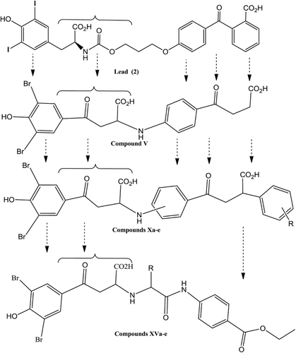 Figure 2.  New designed molecules based on bioisosteric displacements in the diiodophenol-peptidomimetic-aryl carboxylic acid lead (2).