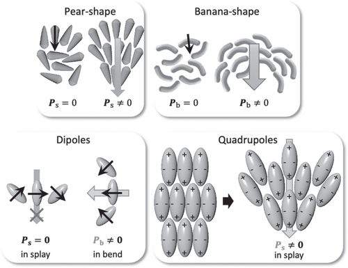 Figure 5. Flexoelectric polarization of pear and banana-shaped molecules and the contribution of dipoles of -LC (bend) and quadrupoles (splay) to flexoelectric coefficients.