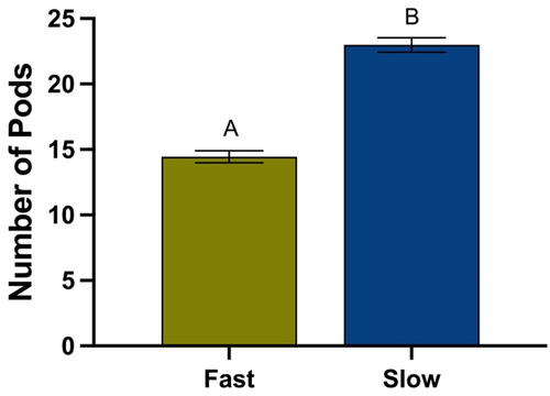 Figure 14. Mean number of pods on fast and slow wilting soybean genotypes. Different letters denote significant differences in the mean number of pods found on soybean plants using a student t-test (p=.0001).