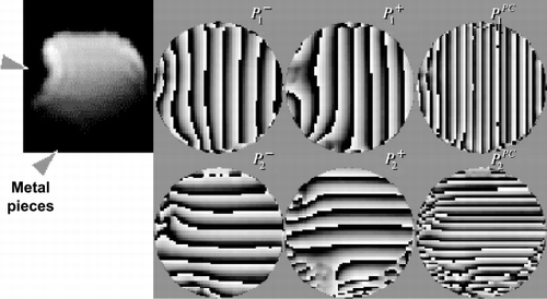 Figure 1. Phase images of a CSPAMM tagged bottle phantom imaged with a FastHARP sequence.