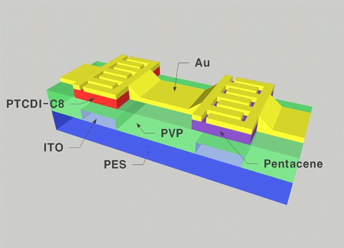 Figure 1. Structure of the complementary inverter.