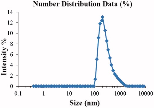 Figure 3. Average particle size of NFM-3.