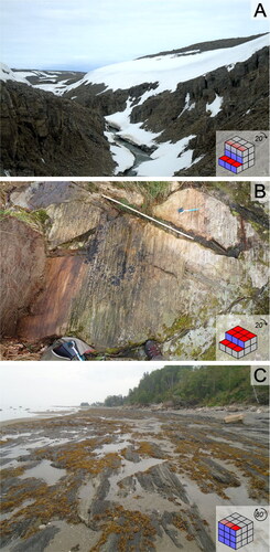 Figure 4. Examples of superficial cover of strata, resulting in reduced outcrop quality. (A) The Silurian Barlow Inlet Formation, Cornwallis Island, Canada. The outcrop is a stepped cliff-type (4) exposure, but is partially obscured by snow. This photo was taken in July, after much of the snow had melted but before the outcrop was completely exposed – approximately 20% remains under superficial cover. (B) The Ordovician Wallowbarrow Tuff Formation, Cumbria, England. The outcrop is a stepped plateau-type (2) exposure, but is partially obscured by vegetation. Before efforts were made to clear the exposure, the outcrop was partially covered in moss, and turf covered the leftmost region. This was successfully peeled back in order to make observations. This photo was taken in April. (C) Cambrian mudrock, Gaspé, Quebec, Canada. The outcrop is rotated cliff-type (5) exposure, and is partially obscured by the level of the beach and encrusting seaweed. Approximately 40% of the strata are hidden under beach cover, and a further 30% are obscured by seaweed. This photo was taken in August, so it is expected that this is towards the higher end of the beach level, and in winter more would be exposed.