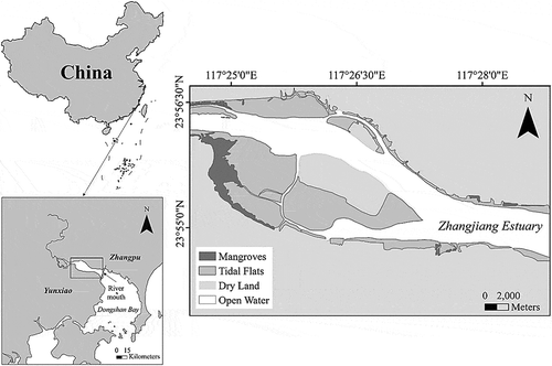 Figure 1. Map of Zhangjiang Estuary showing the study area in Fujian Province, China.