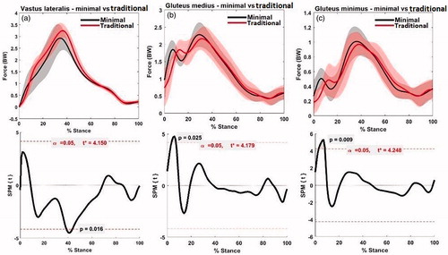 Figure 5. SPM analyses for muscle forces.