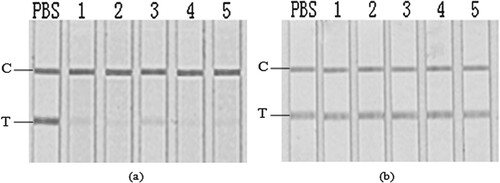 Figure 3. GICA results for sample extracts removed lipid component (a), and for fish polysaccharide simulated solutions (b). From left: PBS; 1, Scophthalmus maximus; 2, Cyprinus carpio; 3, Siniperca chuatsi; 4, Aristichthys nobilis; 5, Ctenopharyngodon idella.