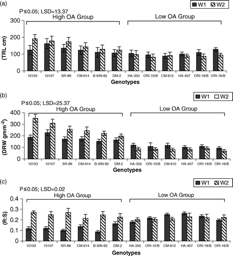 Figure 3.  Mean performance of genotypes for (a) total root length (TRL cm) (b) dry root weight (DRW gm m−2) (c) root:shoot ratio (R:S) under irrigated (W1) and drought (W2) regimes. LSD = least significant difference.