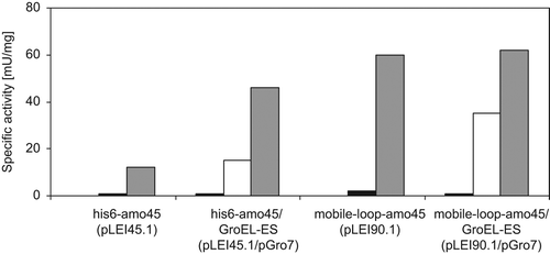 Figure 3. Average specific enzyme activity of soluble crude extract samples containing His6-Amo45 or mobile-loop-Amo45 measured by using synthetic substrate CNP-G3. The black, white, and gray columns present the specific activity of uninduced, with arabinose and rhamnose simultaneously induced (4.5 h), and successively induced (3 h + 4.5 h) cell cultures, respectively.